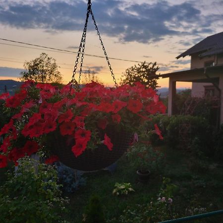 Vila Magnolia Villa Curtea de Argeş Exterior foto