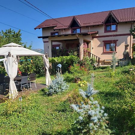 Vila Magnolia Curtea de Argeş Exterior foto