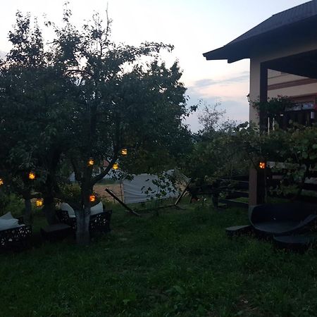 Vila Magnolia Curtea de Argeş Exterior foto