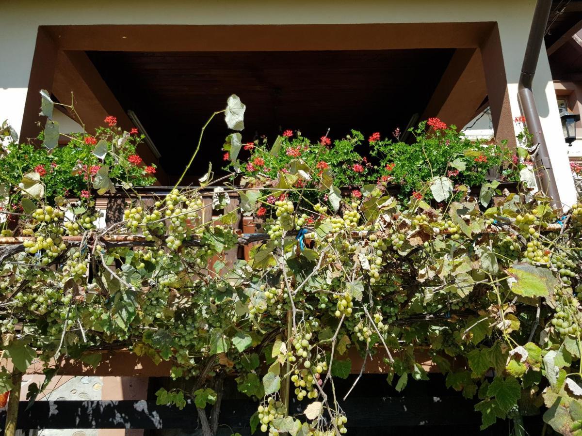 Vila Magnolia Curtea de Argeş Exterior foto