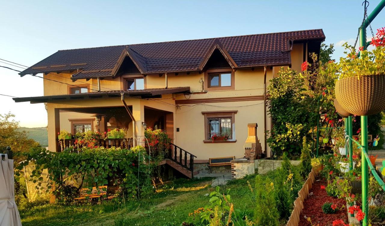Vila Magnolia Curtea de Argeş Exterior foto