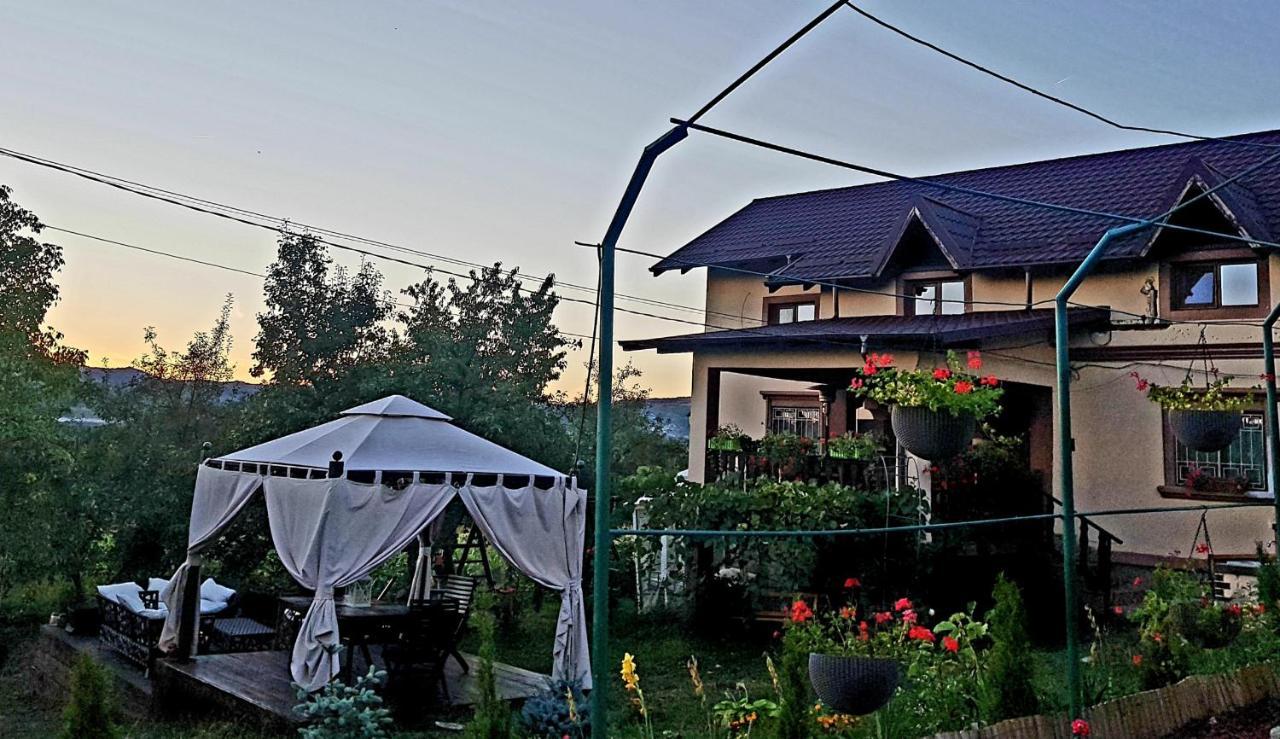 Vila Magnolia Curtea de Argeş Exterior foto