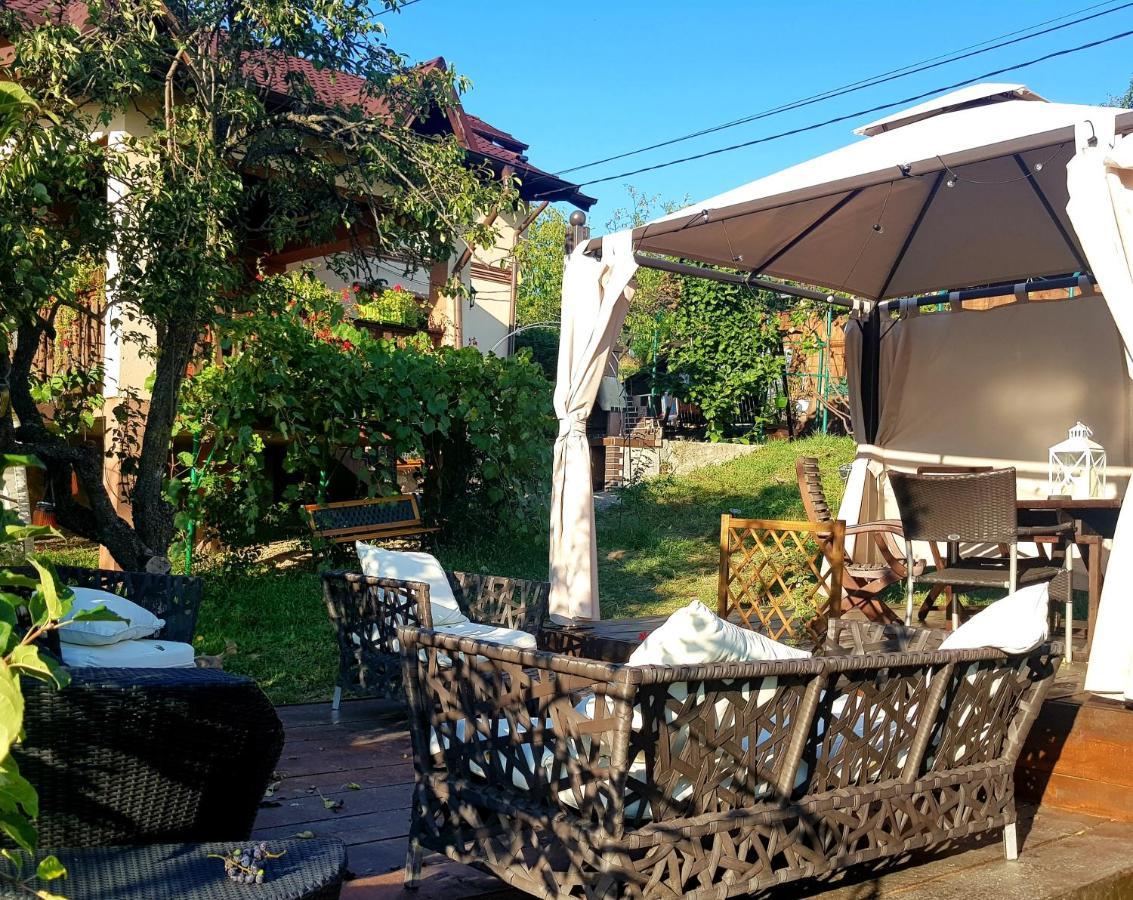 Vila Magnolia Curtea de Argeş Exterior foto