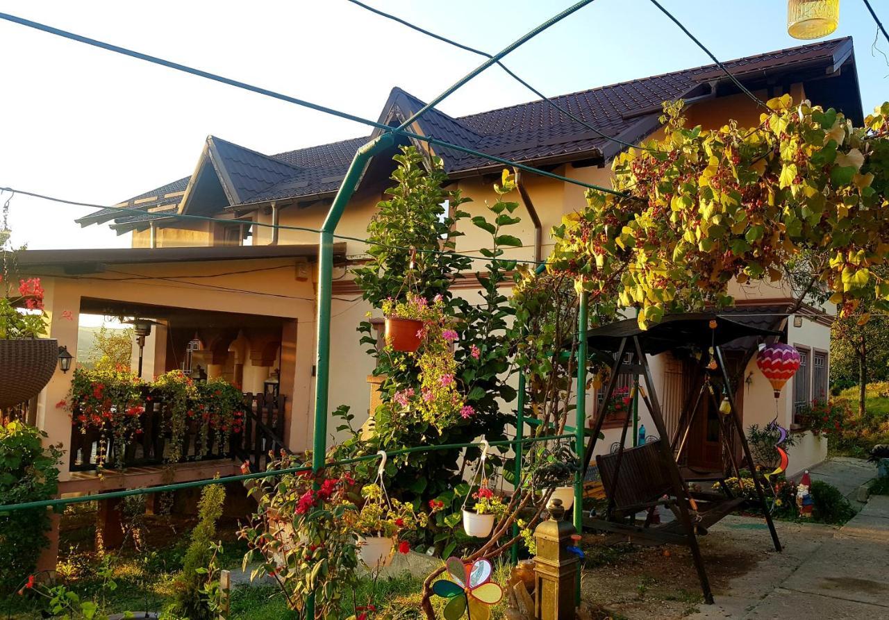 Vila Magnolia Curtea de Argeş Exterior foto