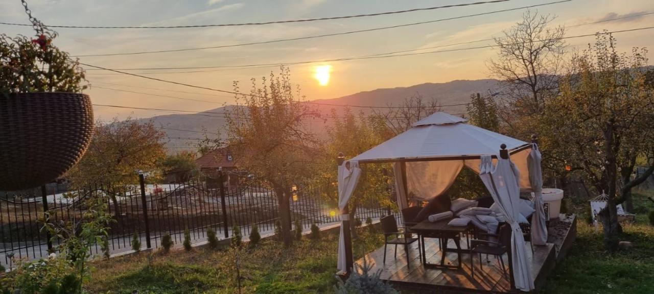 Vila Magnolia Curtea de Argeş Exterior foto