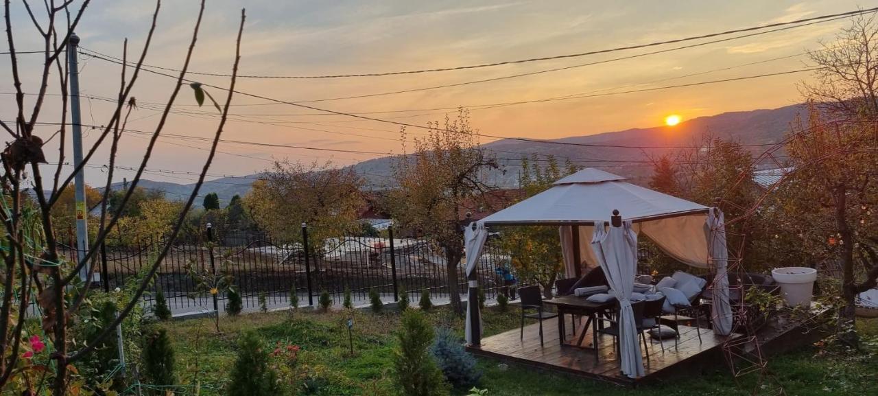 Vila Magnolia Curtea de Argeş Exterior foto