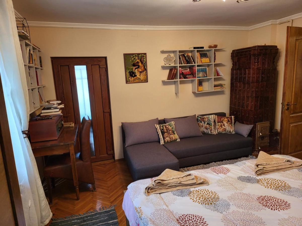 Vila Magnolia Curtea de Argeş Exterior foto