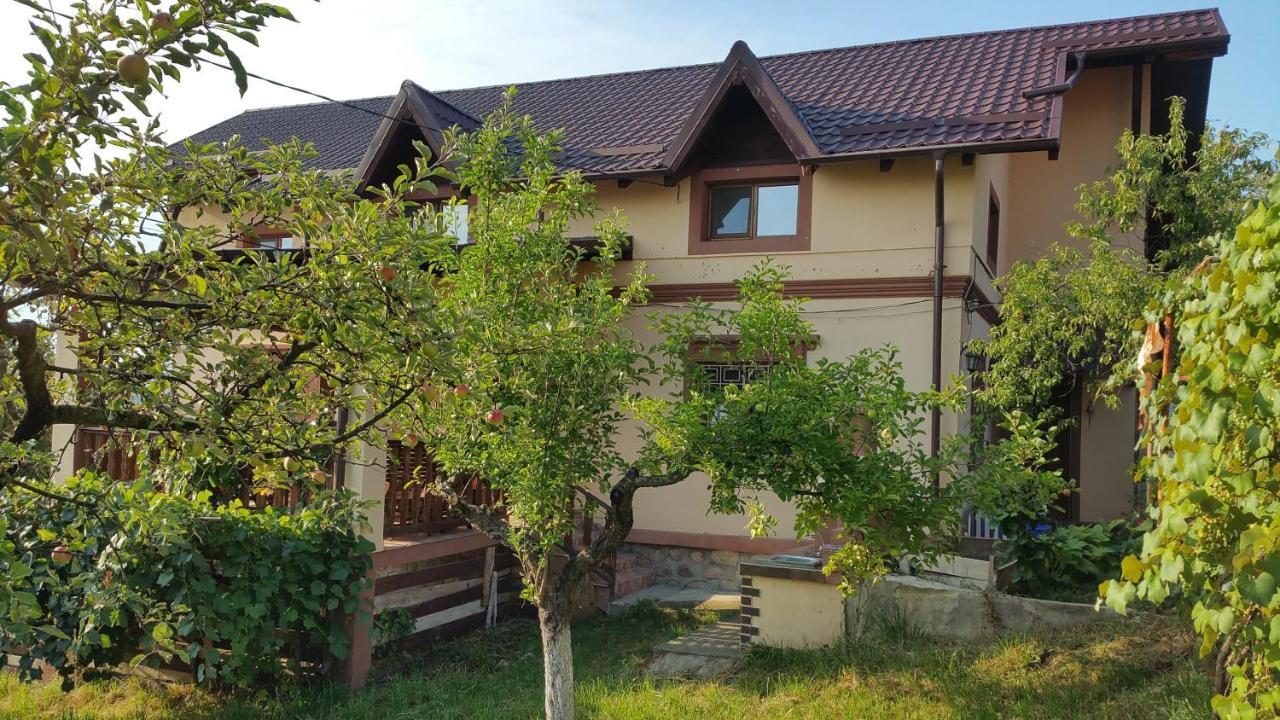 Vila Magnolia Curtea de Argeş Exterior foto